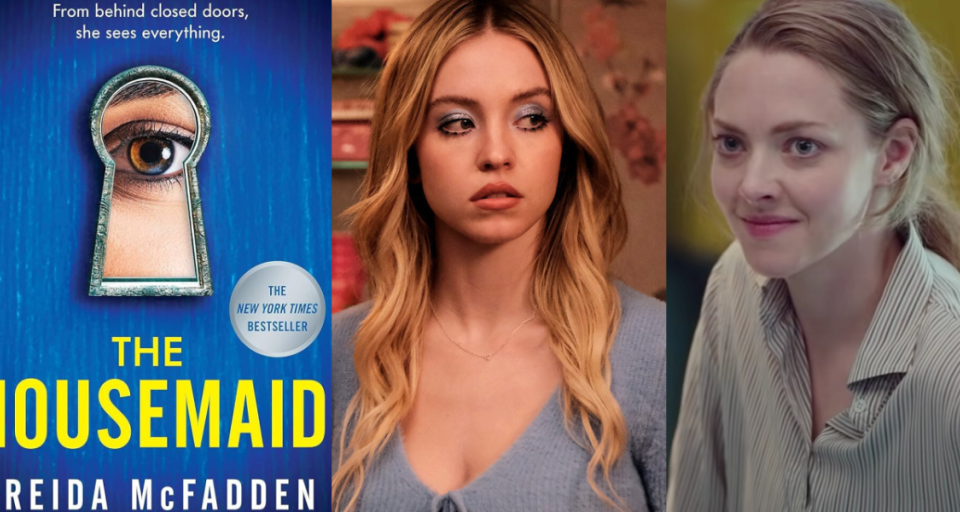 The Housemaid by Frieda McFadden book review book cover and movie adaptation image